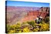 Colorful Grand Canyon-Jeni Foto-Stretched Canvas