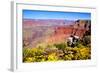 Colorful Grand Canyon-Jeni Foto-Framed Photographic Print