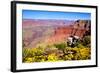 Colorful Grand Canyon-Jeni Foto-Framed Photographic Print