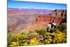 Colorful Grand Canyon-Jeni Foto-Mounted Photographic Print