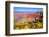 Colorful Grand Canyon-Jeni Foto-Framed Photographic Print