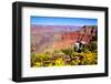 Colorful Grand Canyon-Jeni Foto-Framed Photographic Print