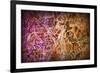 Colorful Grunge Background With Graffiti And Writings And A Slight Vignette-ccaetano-Framed Art Print