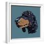 Colorful Hand Drawn Dog Portrait in Vector-null-Framed Art Print