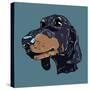 Colorful Hand Drawn Dog Portrait in Vector-null-Stretched Canvas