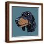 Brown Frame