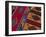 Colorful Hand-Woven Carpet, Oaxaca, Mexico-Judith Haden-Framed Photographic Print