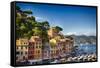 Colorful Harbor Houses in Portofino, Liguria, Italy-George Oze-Framed Stretched Canvas