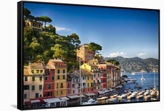 Colorful Harbor Houses in Portofino, Liguria, Italy-George Oze-Framed Stretched Canvas