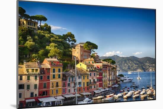 Colorful Harbor Houses in Portofino, Liguria, Italy-George Oze-Mounted Photographic Print