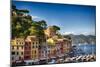 Colorful Harbor Houses in Portofino, Liguria, Italy-George Oze-Mounted Photographic Print