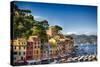 Colorful Harbor Houses in Portofino, Liguria, Italy-George Oze-Stretched Canvas