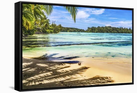 Colorful Hauru Point beach palm trees, Moorea, Tahiti, French Polynesia.-William Perry-Framed Stretched Canvas