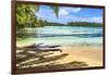 Colorful Hauru Point beach palm trees, Moorea, Tahiti, French Polynesia.-William Perry-Framed Photographic Print