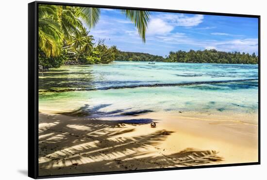 Colorful Hauru Point beach palm trees, Moorea, Tahiti, French Polynesia.-William Perry-Framed Stretched Canvas