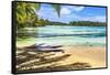 Colorful Hauru Point beach palm trees, Moorea, Tahiti, French Polynesia.-William Perry-Framed Stretched Canvas