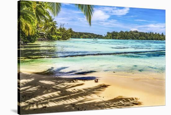 Colorful Hauru Point beach palm trees, Moorea, Tahiti, French Polynesia.-William Perry-Stretched Canvas