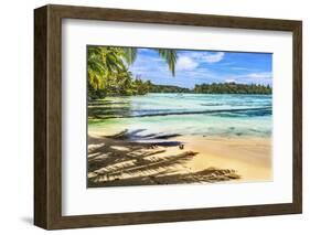 Colorful Hauru Point beach palm trees, Moorea, Tahiti, French Polynesia.-William Perry-Framed Photographic Print