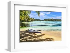 Colorful Hauru Point beach palm trees, Moorea, Tahiti, French Polynesia.-William Perry-Framed Photographic Print