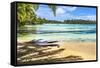 Colorful Hauru Point beach palm trees, Moorea, Tahiti, French Polynesia.-William Perry-Framed Stretched Canvas