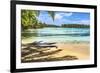 Colorful Hauru Point beach palm trees, Moorea, Tahiti, French Polynesia.-William Perry-Framed Photographic Print