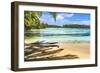 Colorful Hauru Point beach palm trees, Moorea, Tahiti, French Polynesia.-William Perry-Framed Photographic Print