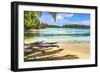 Colorful Hauru Point beach palm trees, Moorea, Tahiti, French Polynesia.-William Perry-Framed Photographic Print