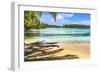 Colorful Hauru Point beach palm trees, Moorea, Tahiti, French Polynesia.-William Perry-Framed Photographic Print