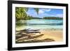 Colorful Hauru Point beach palm trees, Moorea, Tahiti, French Polynesia.-William Perry-Framed Photographic Print