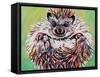 Colorful Hedgehog II-Carolee Vitaletti-Framed Stretched Canvas