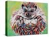 Colorful Hedgehog II-Carolee Vitaletti-Stretched Canvas