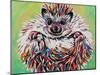 Colorful Hedgehog II-Carolee Vitaletti-Mounted Art Print