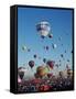 Colorful Hot Air Balloons, Albuquerque Balloon Fiesta, Albuquerque, New Mexico, USA-null-Framed Stretched Canvas