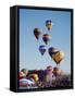 Colorful Hot Air Balloons, Albuquerque Balloon Fiesta, Albuquerque, New Mexico, USA-null-Framed Stretched Canvas