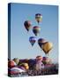 Colorful Hot Air Balloons, Albuquerque Balloon Fiesta, Albuquerque, New Mexico, USA-null-Stretched Canvas