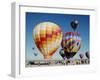 Colorful Hot Air Balloons, Albuquerque Balloon Fiesta, Albuquerque, New Mexico, USA-null-Framed Photographic Print