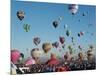 Colorful Hot Air Balloons, Albuquerque Balloon Fiesta, Albuquerque, New Mexico, USA-null-Mounted Photographic Print