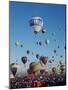 Colorful Hot Air Balloons, Albuquerque Balloon Fiesta, Albuquerque, New Mexico, USA-null-Mounted Photographic Print