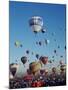 Colorful Hot Air Balloons, Albuquerque Balloon Fiesta, Albuquerque, New Mexico, USA-null-Mounted Photographic Print