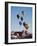 Colorful Hot Air Balloons, Albuquerque Balloon Fiesta, Albuquerque, New Mexico, USA-null-Framed Photographic Print