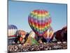 Colorful Hot Air Balloons, Albuquerque Balloon Fiesta, Albuquerque, New Mexico, USA-null-Mounted Photographic Print