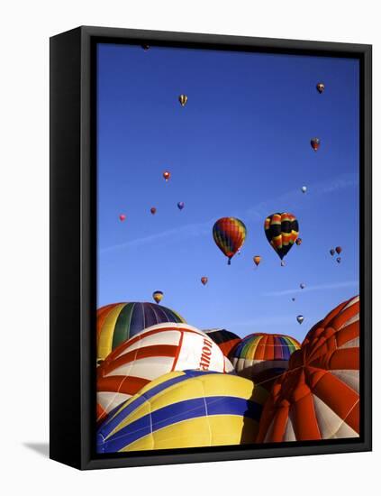 Colorful Hot Air Balloons, Albuquerque, NM-Bill Bachmann-Framed Stretched Canvas