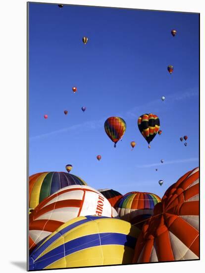 Colorful Hot Air Balloons, Albuquerque, NM-Bill Bachmann-Mounted Premium Photographic Print