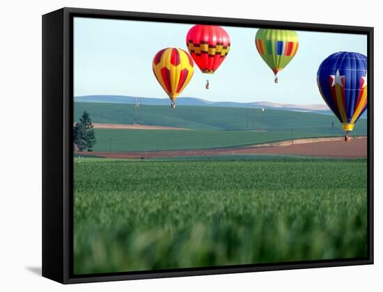 Colorful Hot Air Balloons Float over a Wheat Field in Walla Walla, Washington, USA-William Sutton-Framed Stretched Canvas