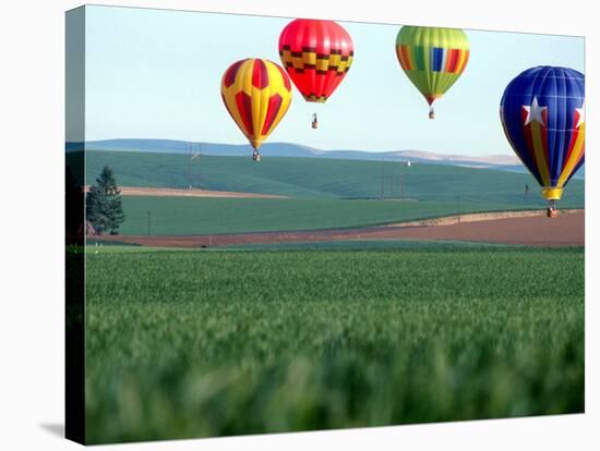 Colorful Hot Air Balloons Float over a Wheat Field in Walla Walla, Washington, USA-William Sutton-Stretched Canvas