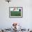 Colorful Hot Air Balloons Float over a Wheat Field in Walla Walla, Washington, USA-William Sutton-Framed Photographic Print displayed on a wall