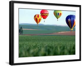 Colorful Hot Air Balloons Float over a Wheat Field in Walla Walla, Washington, USA-William Sutton-Framed Photographic Print