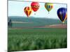 Colorful Hot Air Balloons Float over a Wheat Field in Walla Walla, Washington, USA-William Sutton-Mounted Photographic Print