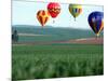 Colorful Hot Air Balloons Float over a Wheat Field in Walla Walla, Washington, USA-William Sutton-Mounted Photographic Print