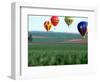 Colorful Hot Air Balloons Float over a Wheat Field in Walla Walla, Washington, USA-William Sutton-Framed Photographic Print